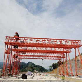 <strong>浙江湖州花架龙门吊自重</strong>